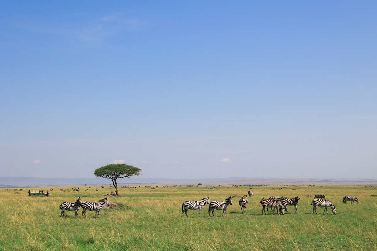 Community Conservancies