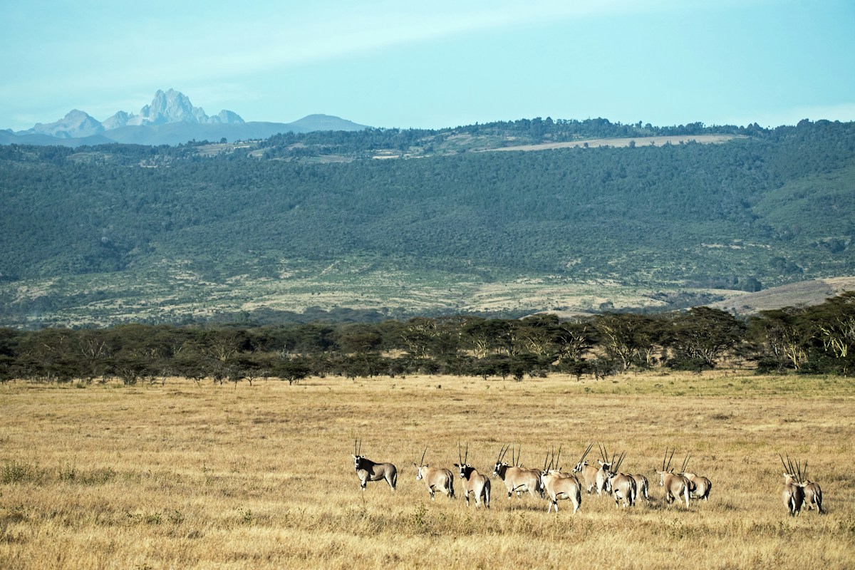 Climate & Livelihood Resilience